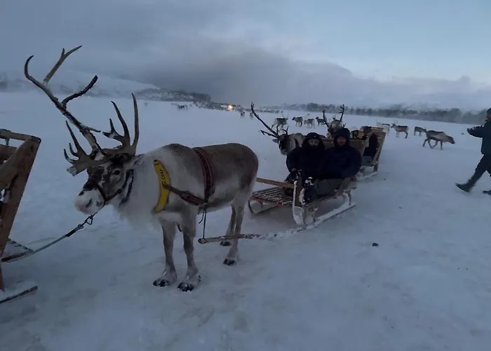 And Spacious 4-bedroom In Apartamento Tromsø