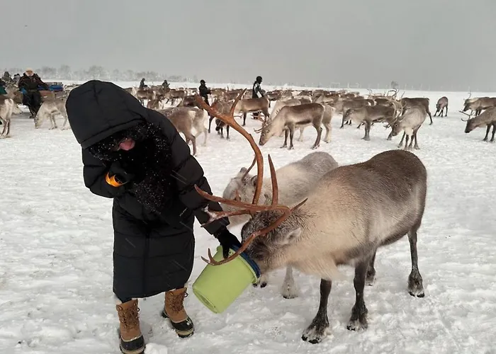 Apartamento And Spacious 4-bedroom In Tromsø